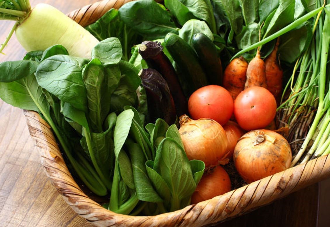 A heart-warming activity for parent and child.  The selected 5 farms for Eco-Agriculture Experience.