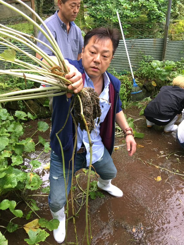 わさび掘りに挑戦！本物のわさびを自分達の手で！！～天城越え～