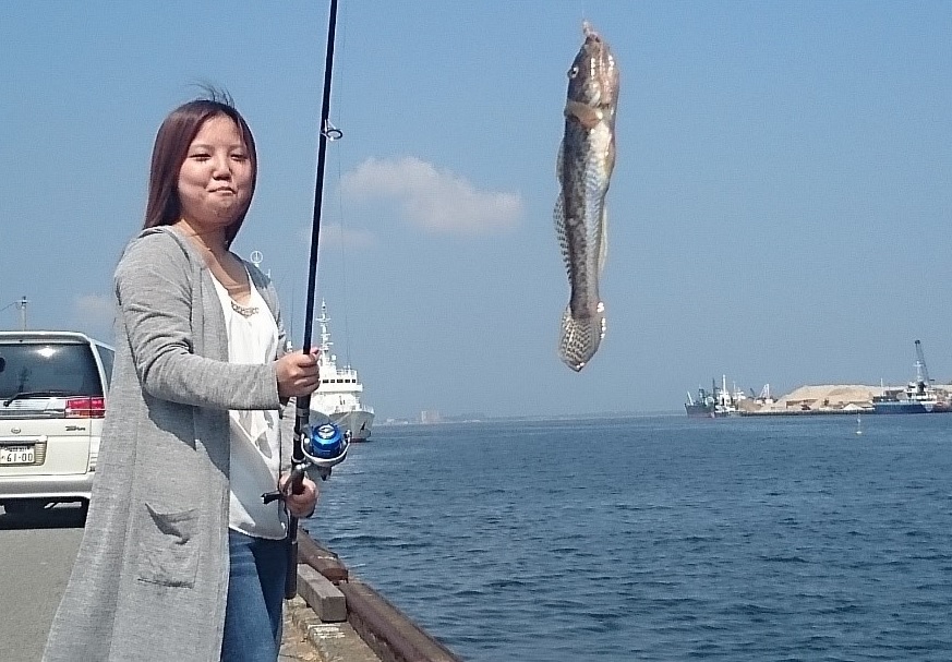 （初心者だけど）巨大魚を釣るぞ！！