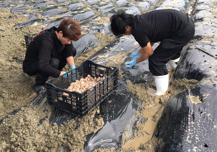 にんにく収穫体験！手作りドレッシングを作ろう！～ドレッシング作り編～