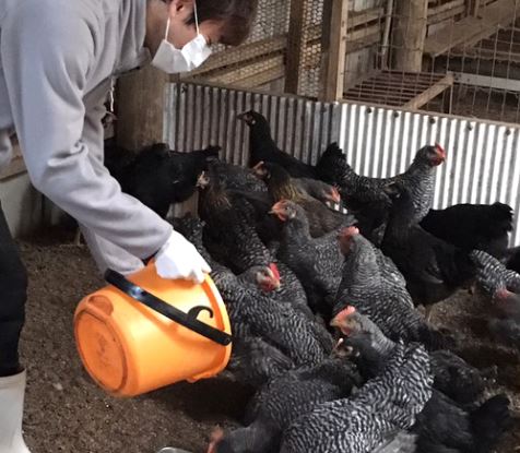 最高の水炊きを作る！！