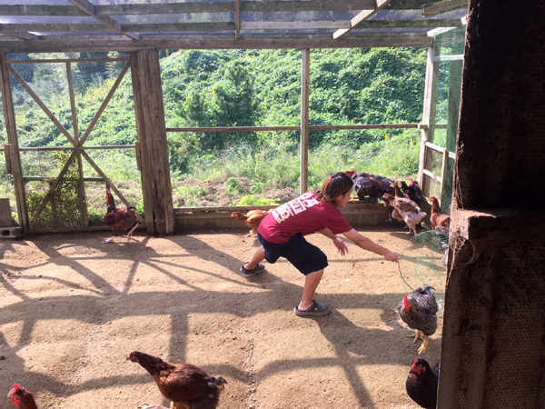 岩城ゆうとの鶏修行 ～鶏をさばいて炭火焼に～