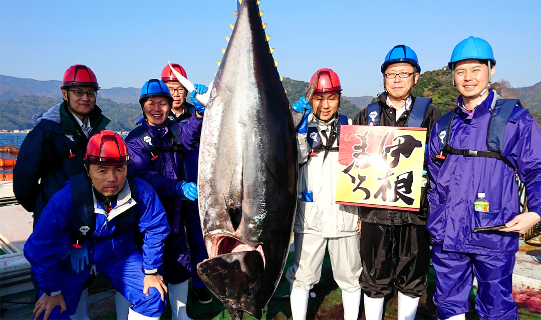 マグロ解体ショーの喜鮪マグロを求めて②