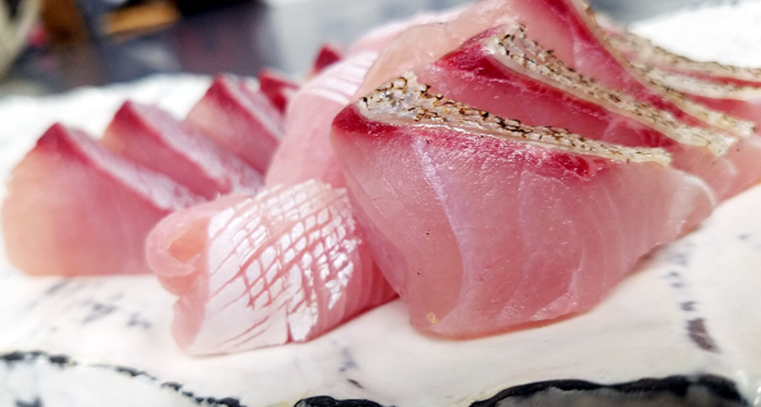 しょうたのデッドオアアライヴ釣行記 ～活魚の処理を考える～