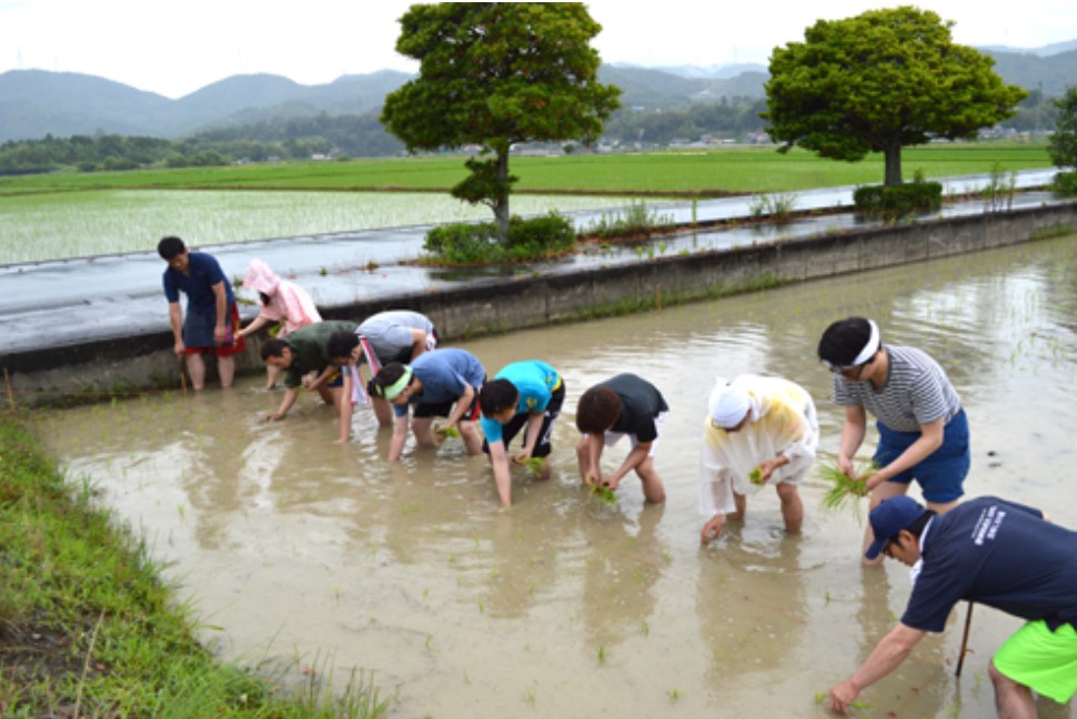 印象的に残る30周年チャレンジ企画まとめ【後編】