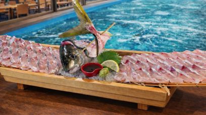 【難波本店】食いつき抜群！鮮度抜群！シマアジの魅力！