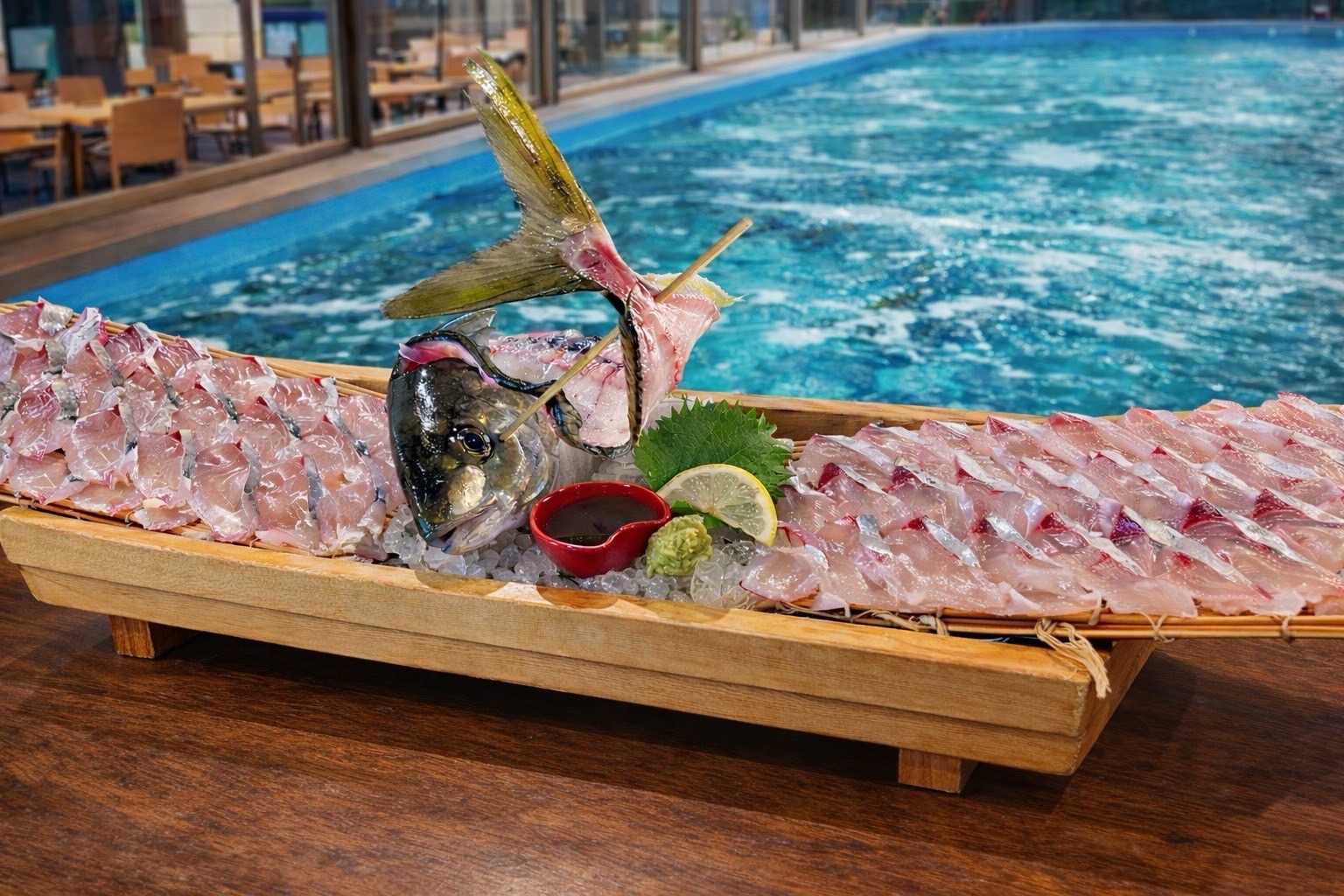 【難波本店】食いつき抜群！鮮度抜群！シマアジの魅力！