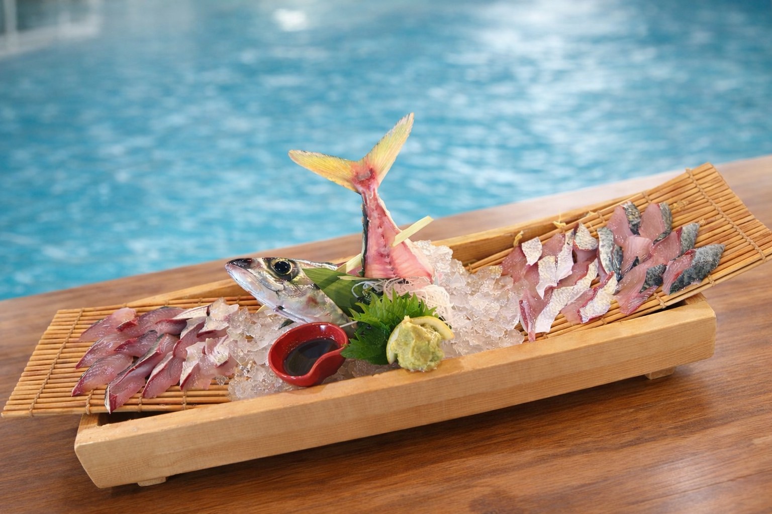 【難波店】新鮮養殖サバを刺身で堪能！ざうお難波本店の泳ぎサバ