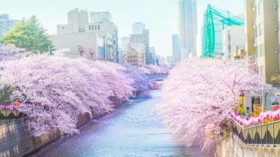 【目黒店】目黒でお花見のあとはここ!釣って食べる居酒屋で春の思い出を🌸🐟