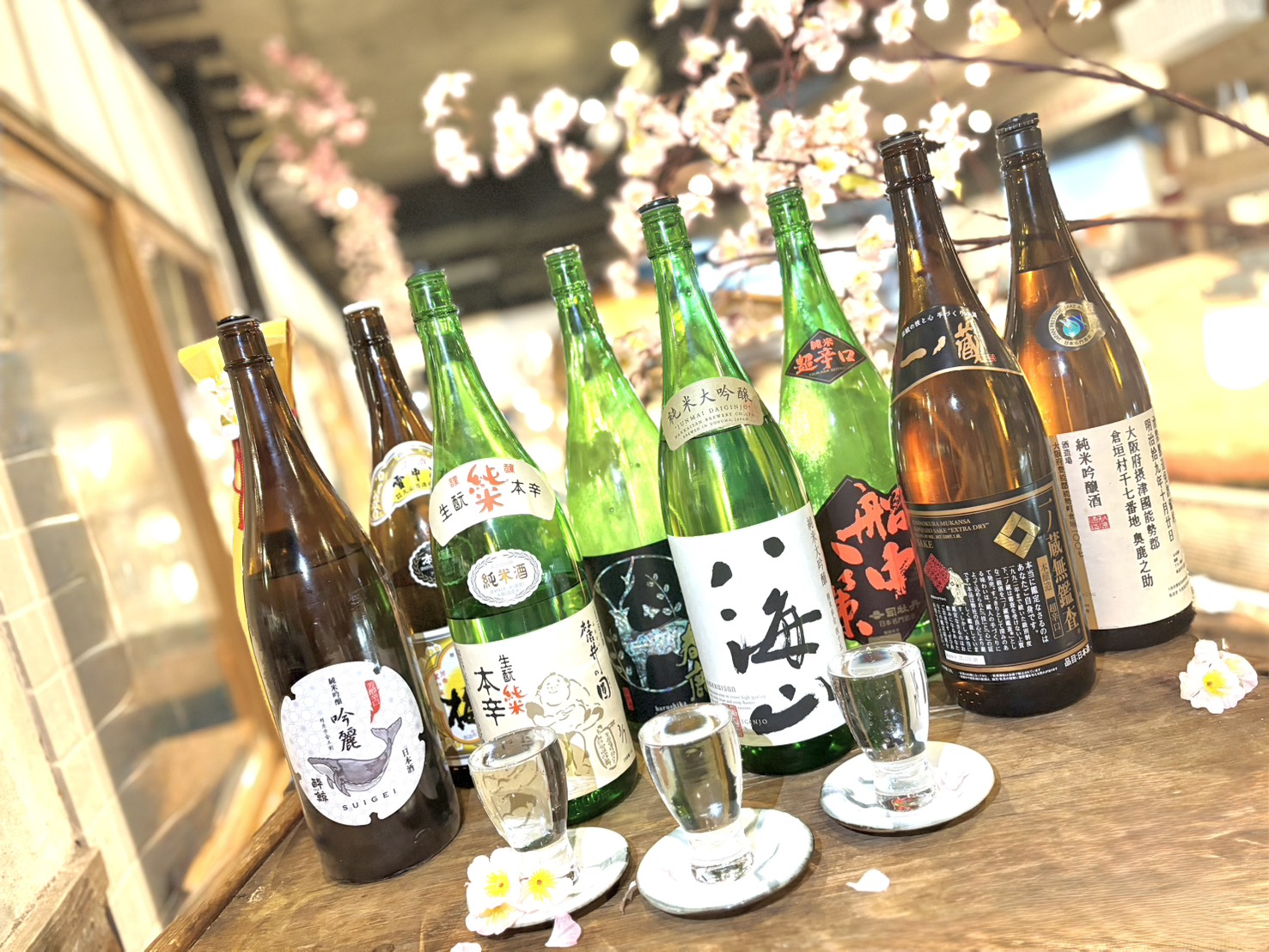 【難波本店】春はやっぱり日本酒で！ざうお難波で楽しむおすすめ2選と春宴会🌸